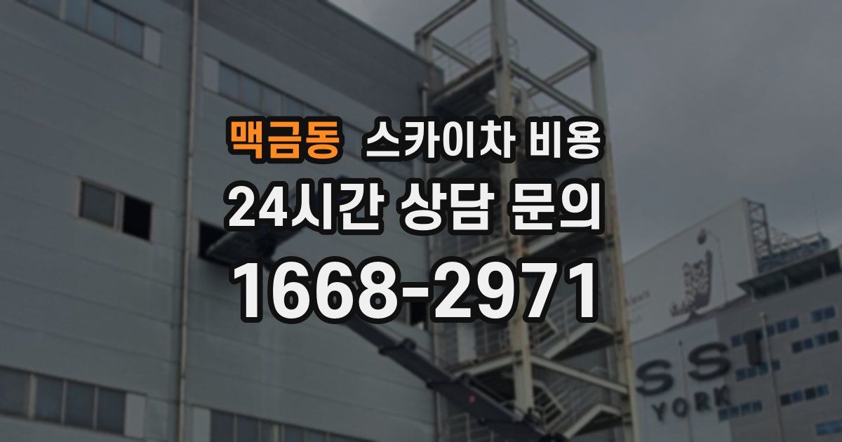 맥금동 스카이차 비용