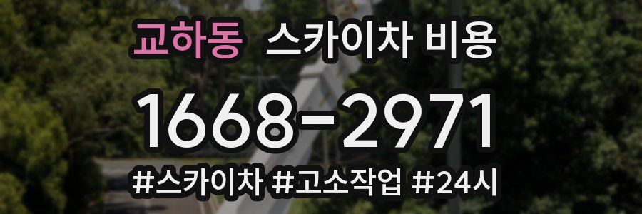 교하동 스카이차 비용