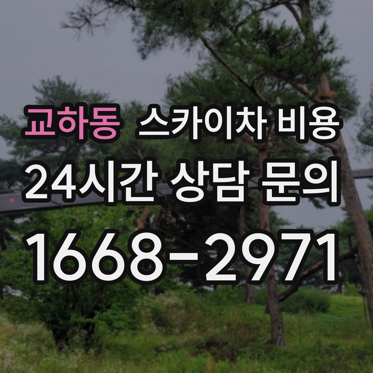 교하동 스카이차 비용