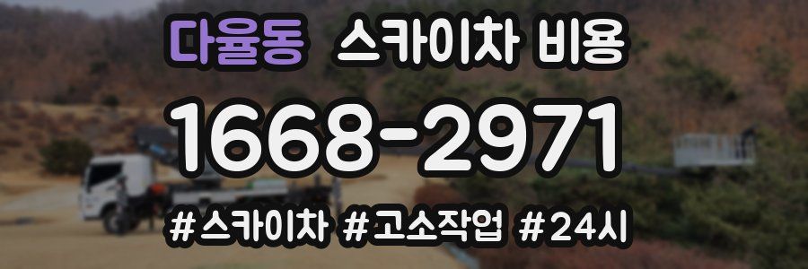 다율동 스카이차 비용