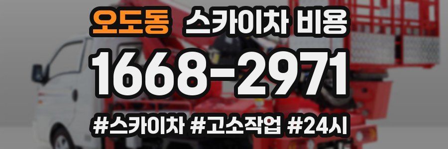 오도동 스카이차 비용