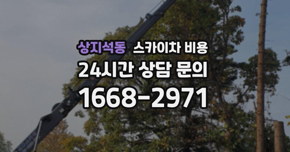 상지석동 스카이차 비용