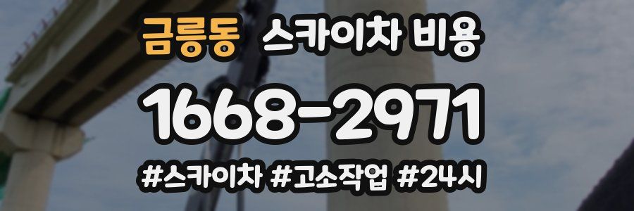 금릉동 스카이차 비용