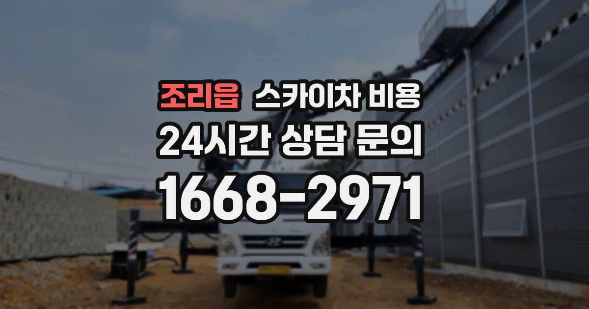 조리읍 스카이차 비용