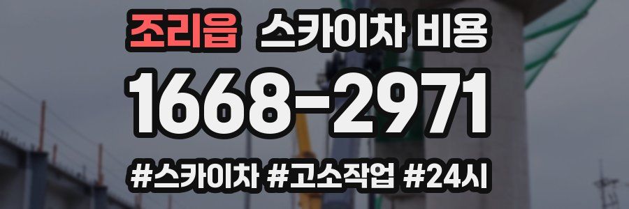 조리읍 스카이차 비용