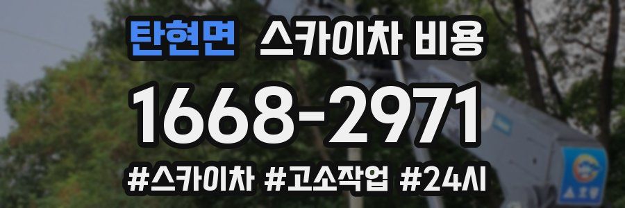 탄현면 스카이차 비용