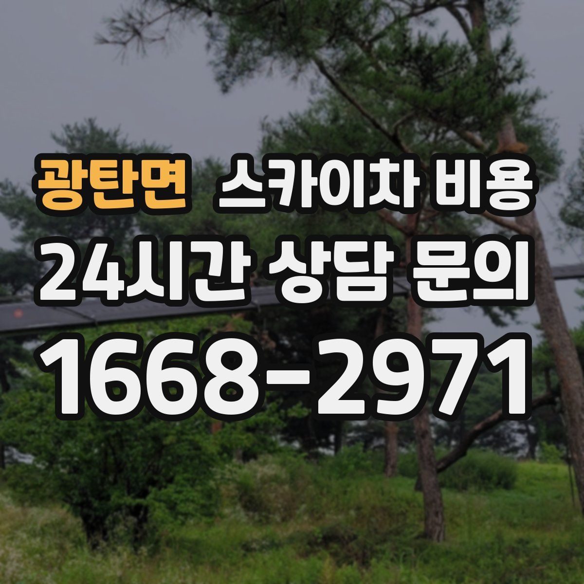 광탄면 스카이차 비용