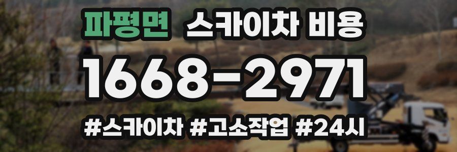 파평면 스카이차 비용