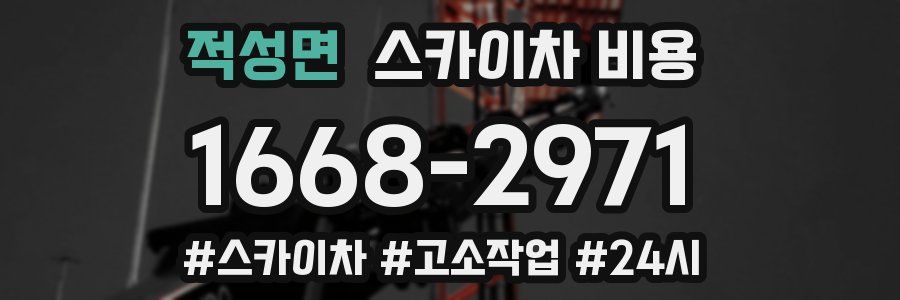 적성면 스카이차 비용