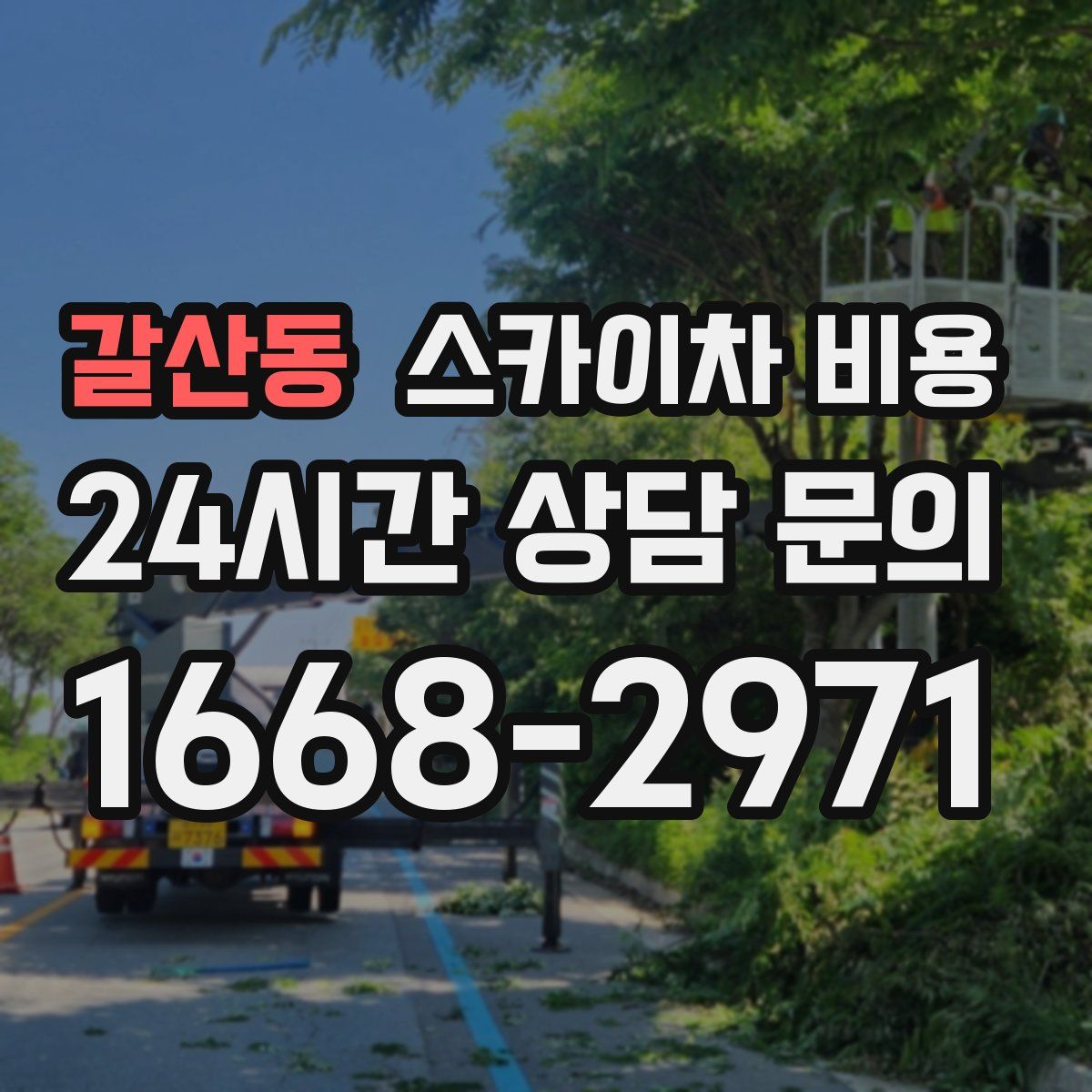 갈산동 스카이차 비용