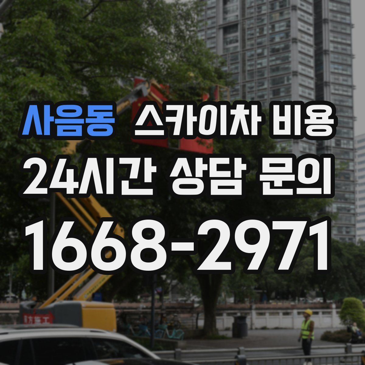 사음동 스카이차 비용