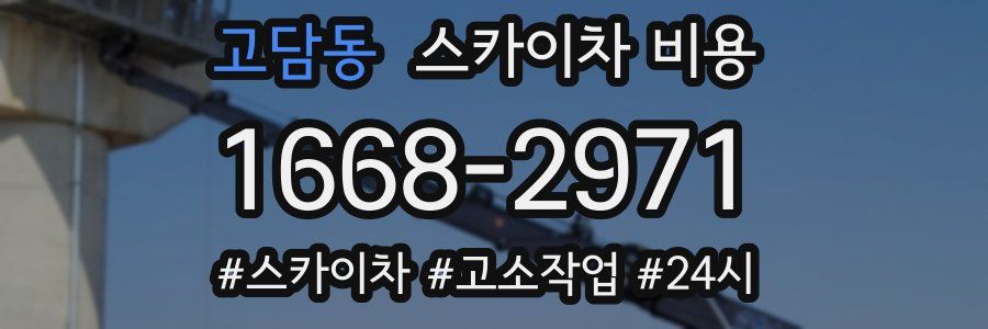 고담동 스카이차 비용