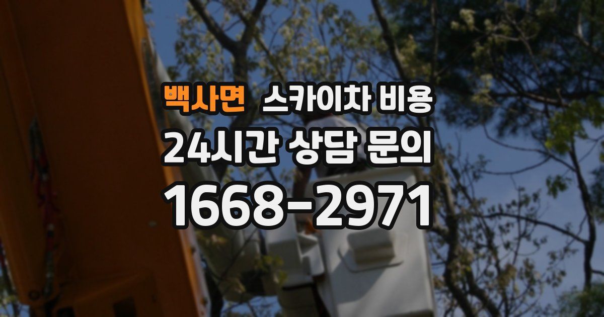 백사면 스카이차 비용