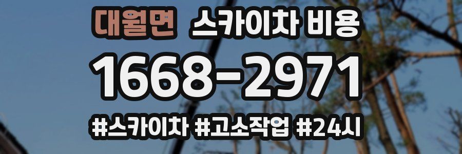 대월면 스카이차 비용