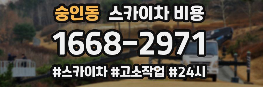 숭인동 스카이차 비용