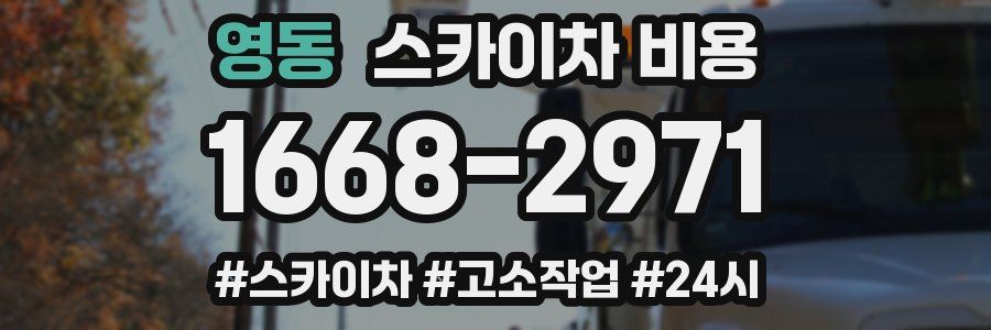 영동 스카이차 비용