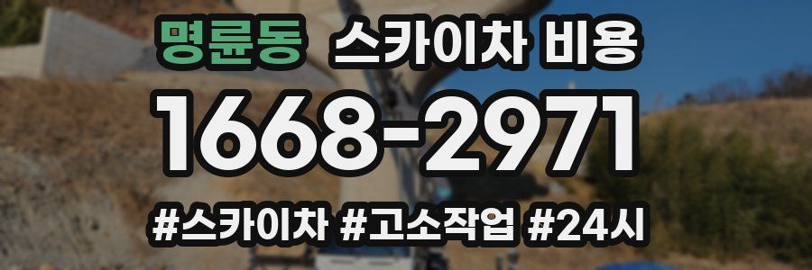 명륜동 스카이차 비용