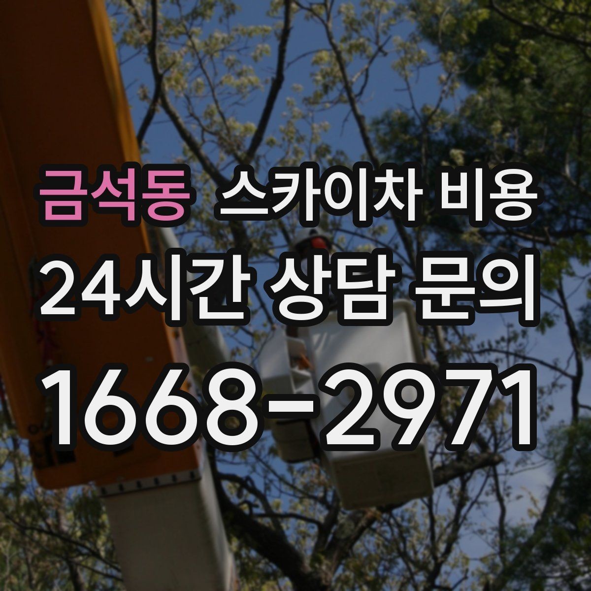 금석동 스카이차 비용 가로수·간판·전선이 동선을 막을 때