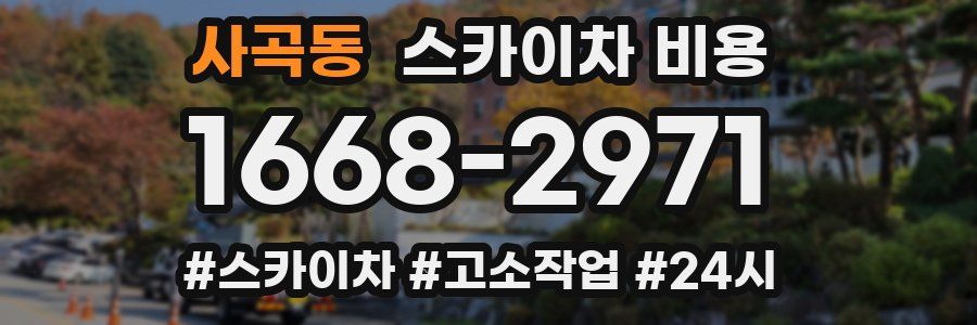 사곡동 스카이차 비용