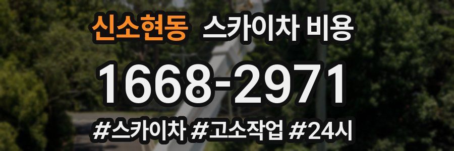 신소현동 스카이차 비용