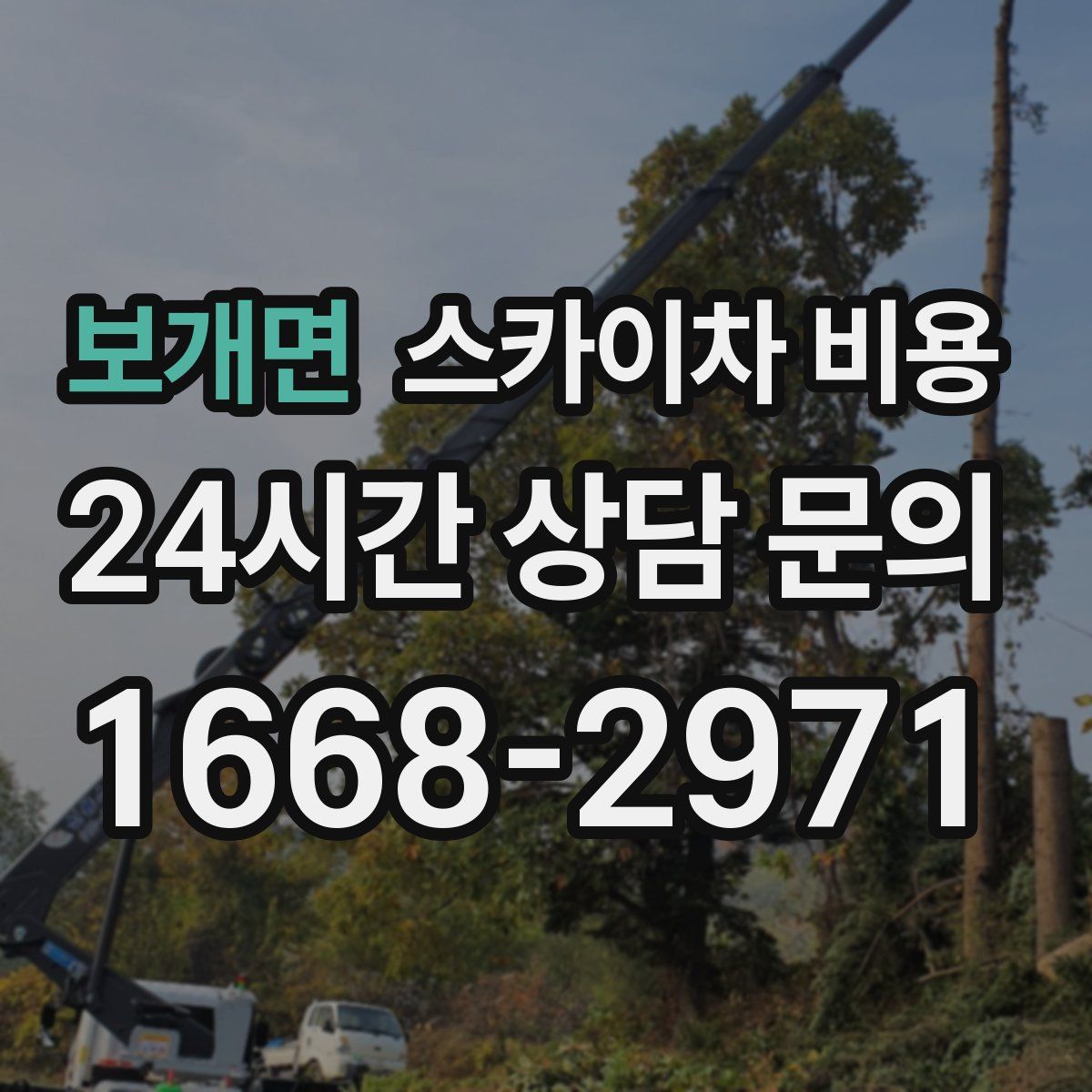 보개면 스카이차 비용