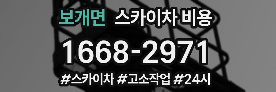 보개면 스카이차 비용