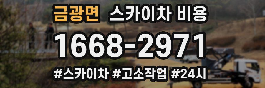 금광면 스카이차 비용