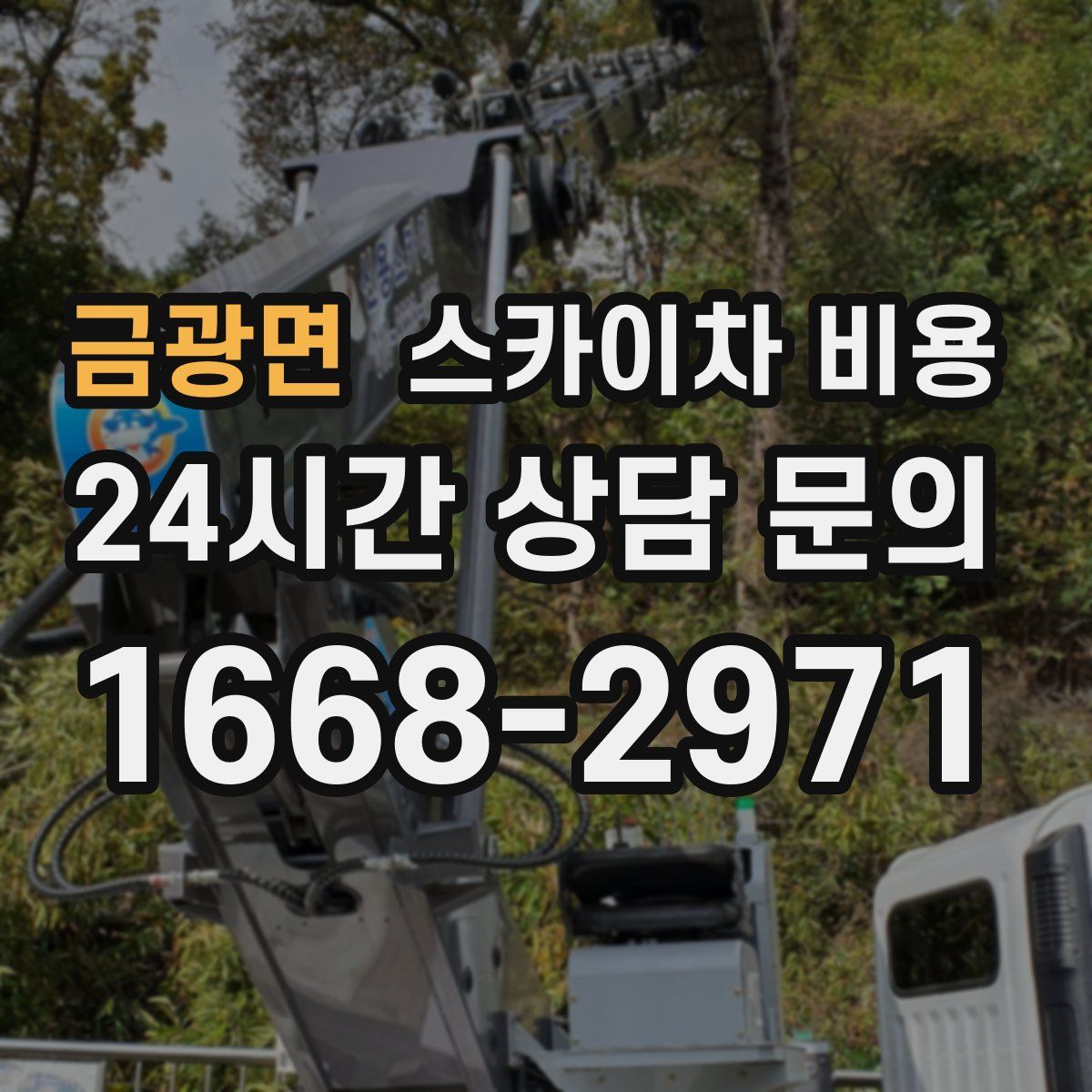 금광면 스카이차 비용