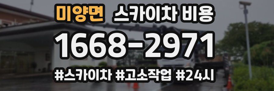 미양면 스카이차 비용