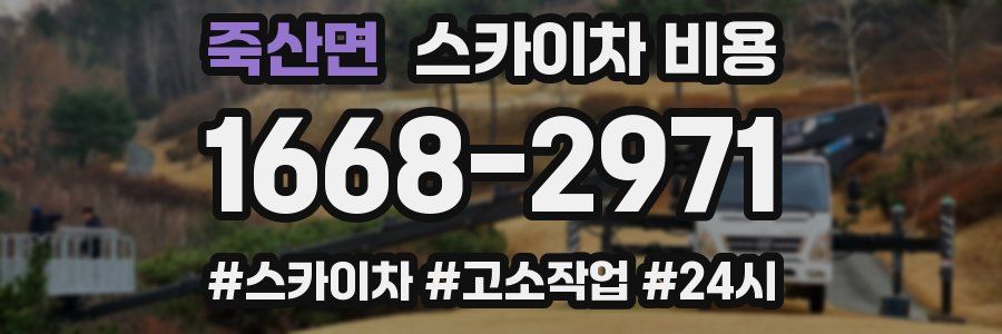 죽산면 스카이차 비용