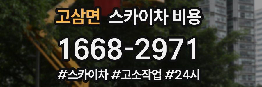 고삼면 스카이차 비용