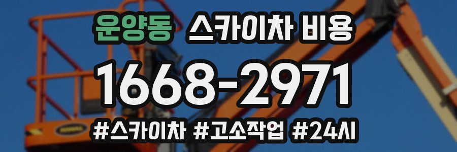 운양동 스카이차 비용