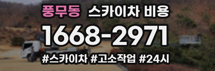 풍무동 스카이차 비용