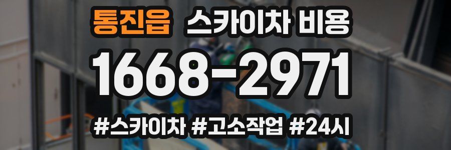 통진읍 스카이차 비용