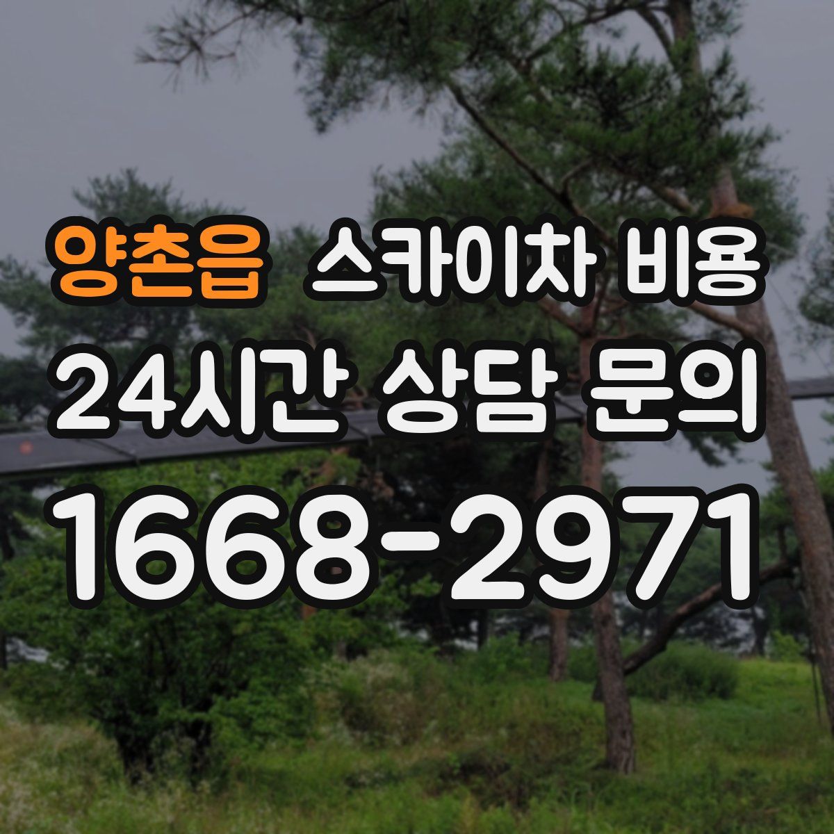 양촌읍 스카이차 비용