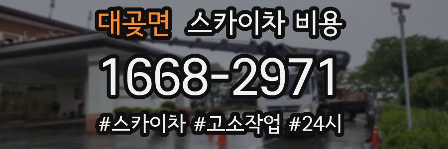 대곶면 스카이차 비용