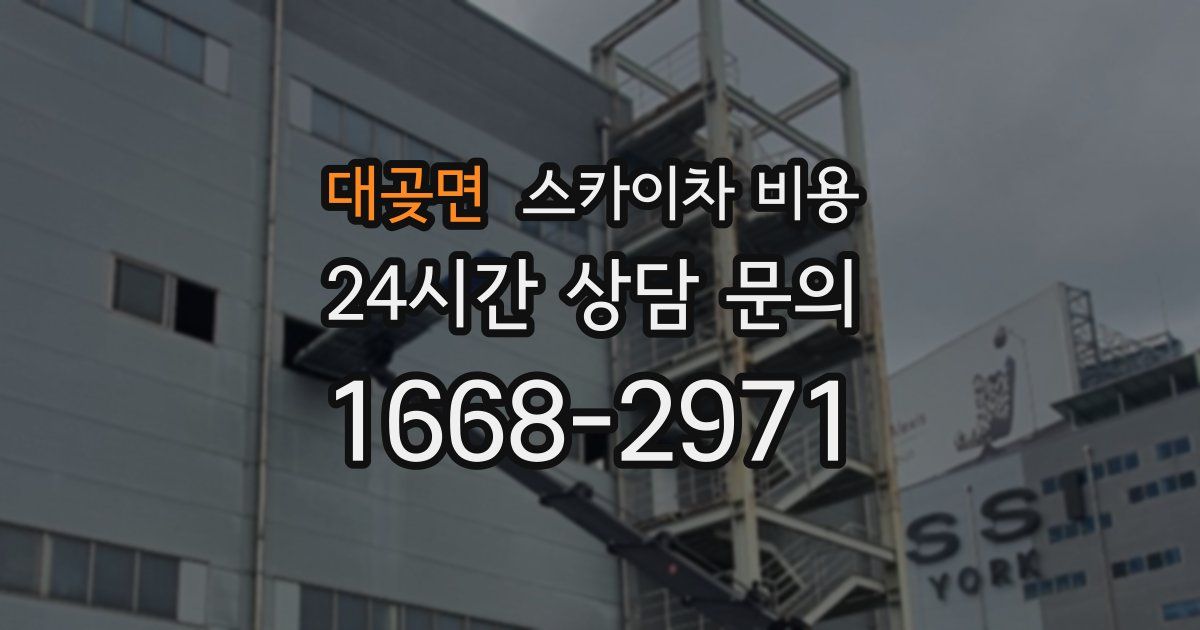 대곶면 스카이차 비용