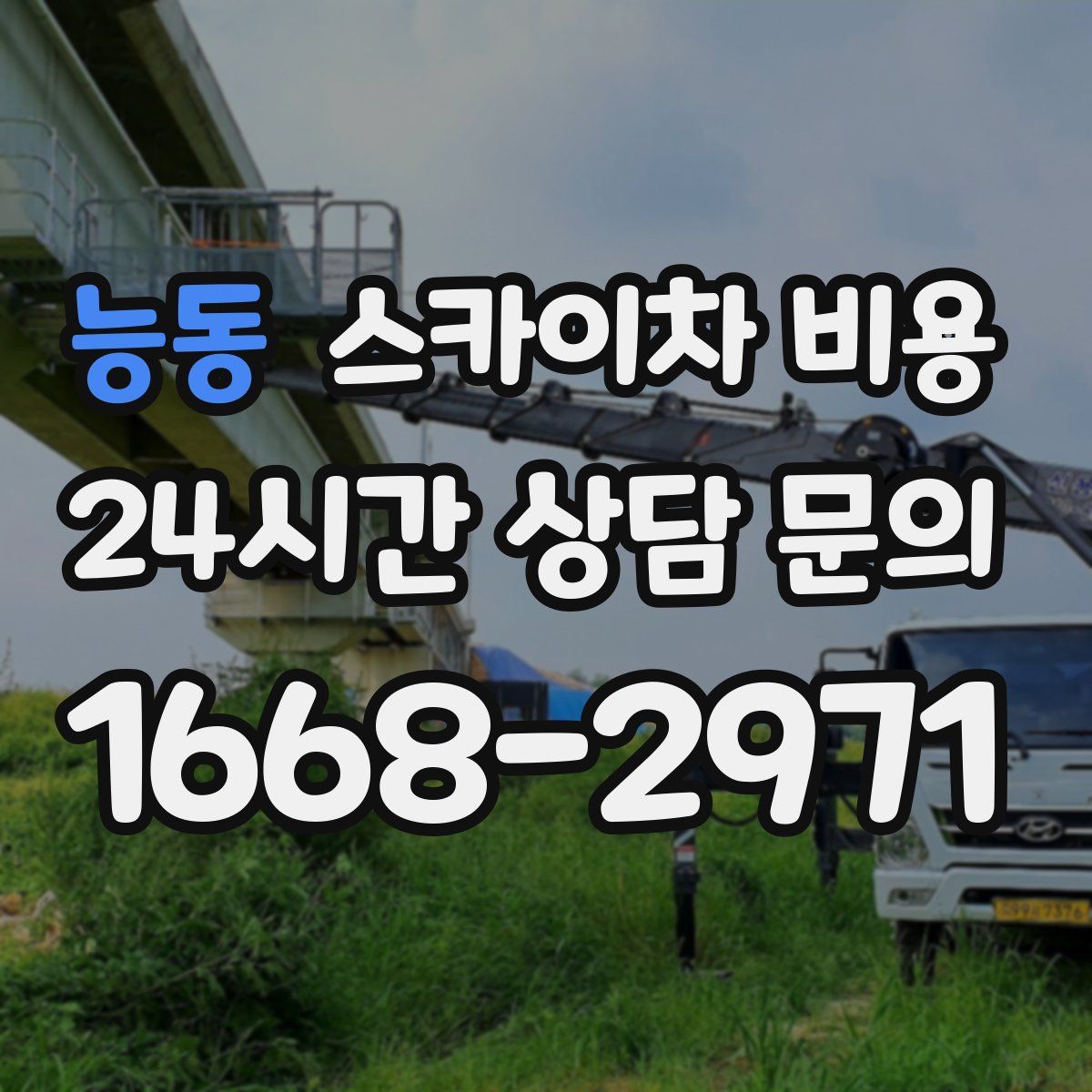 능동 스카이차 비용