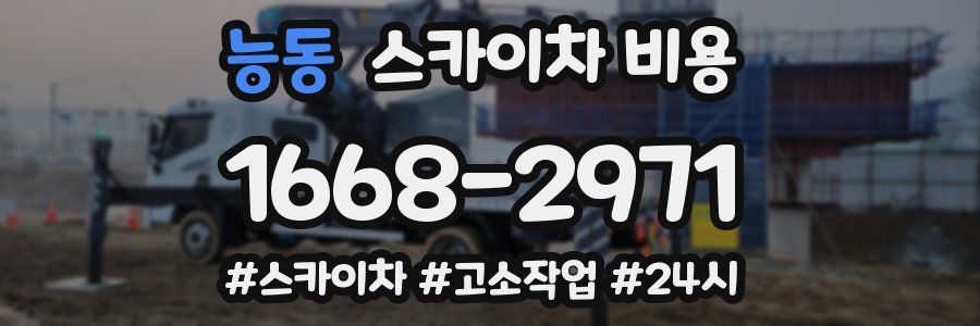 능동 스카이차 비용