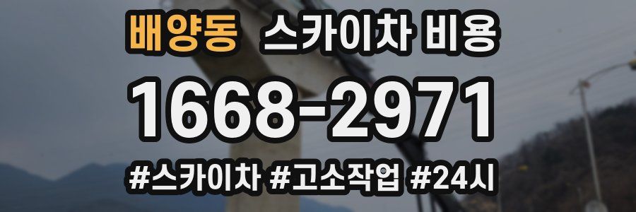 배양동 스카이차 비용