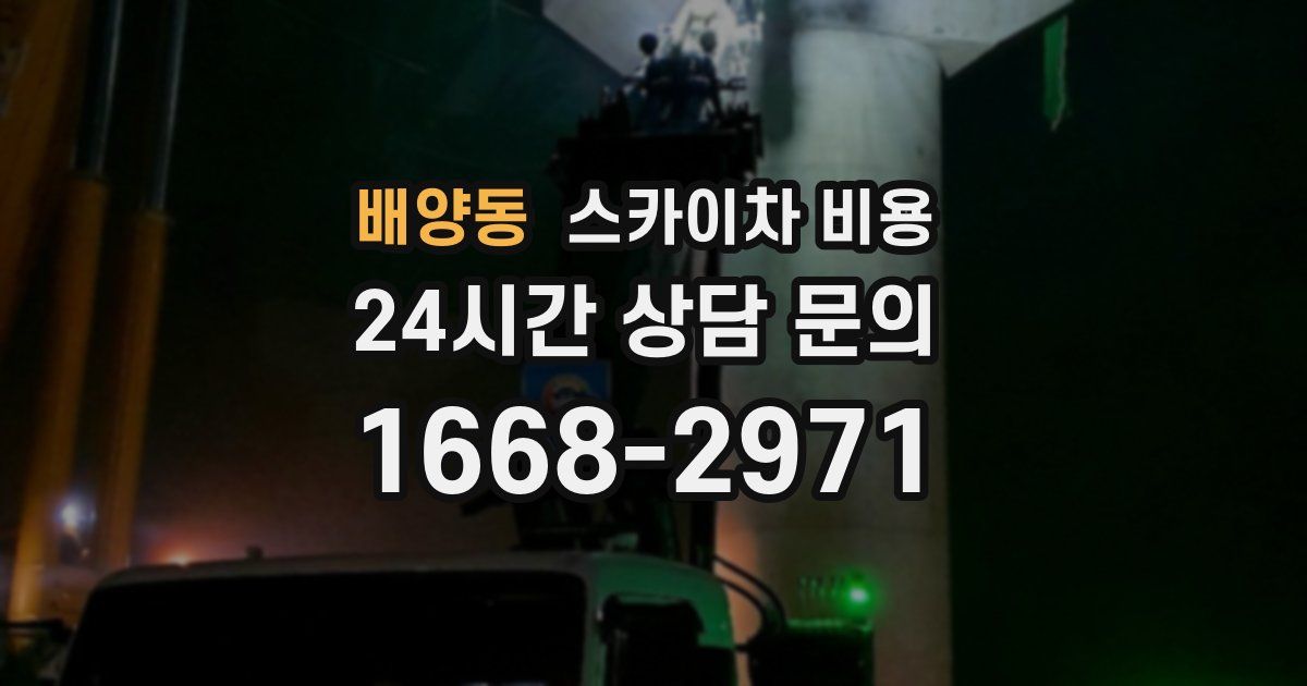 배양동 스카이차 비용