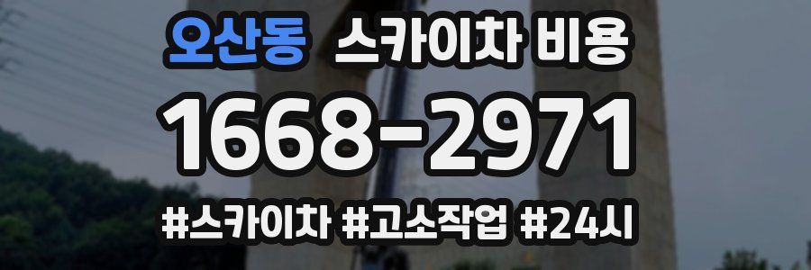 오산동 스카이차 비용