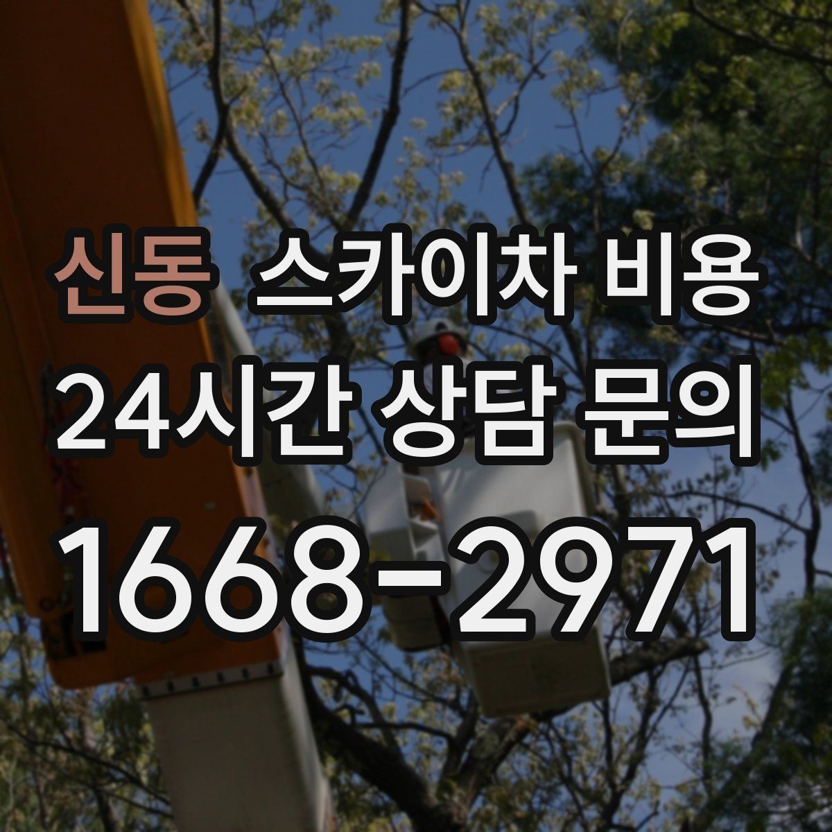 신동 스카이차 비용 현장 조건별 핵심 변수를 한 번에 정리