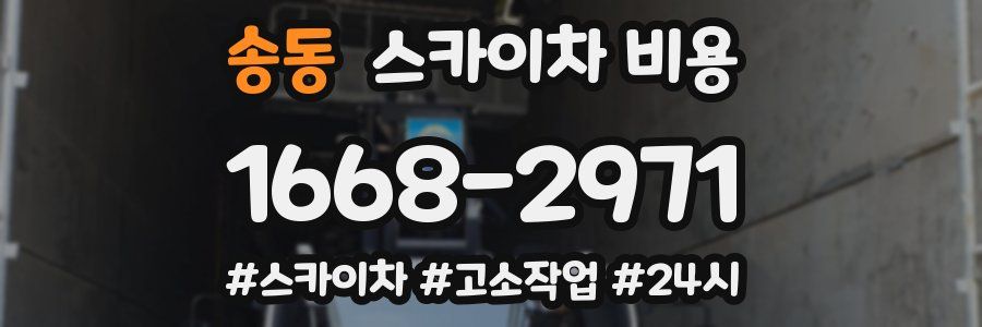 송동 스카이차 비용