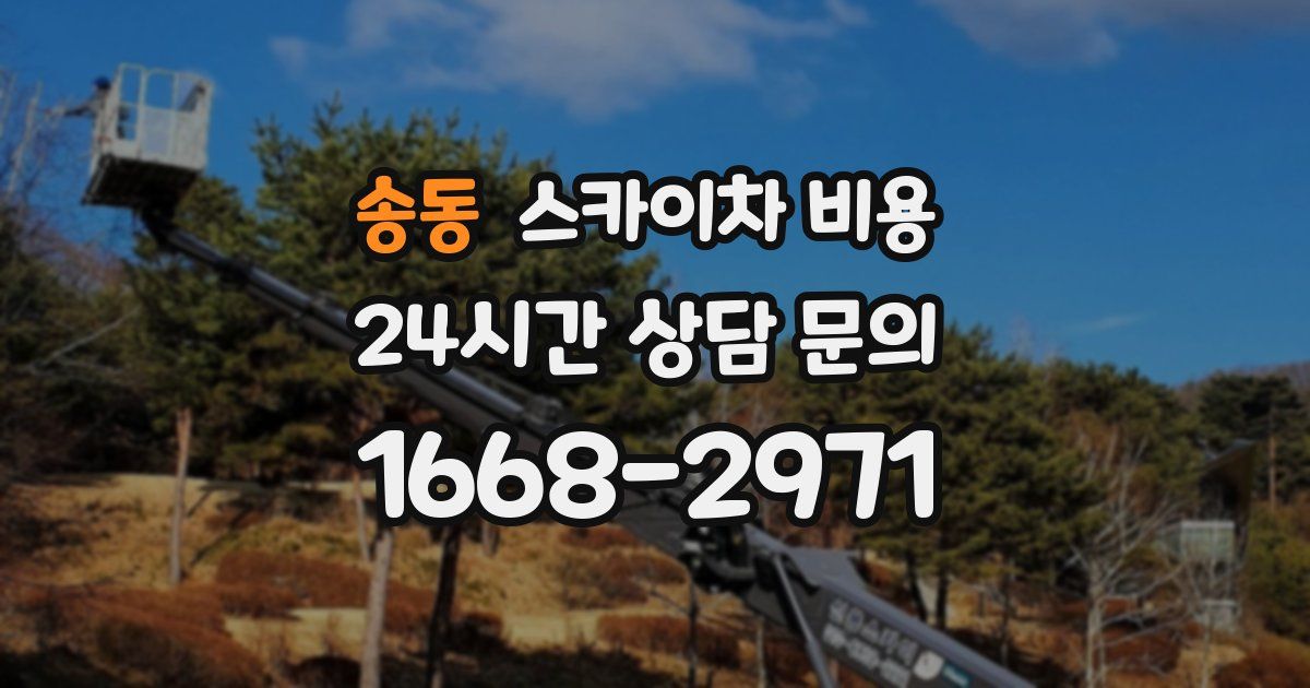 송동 스카이차 비용