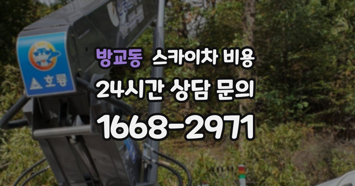 방교동 스카이차 비용