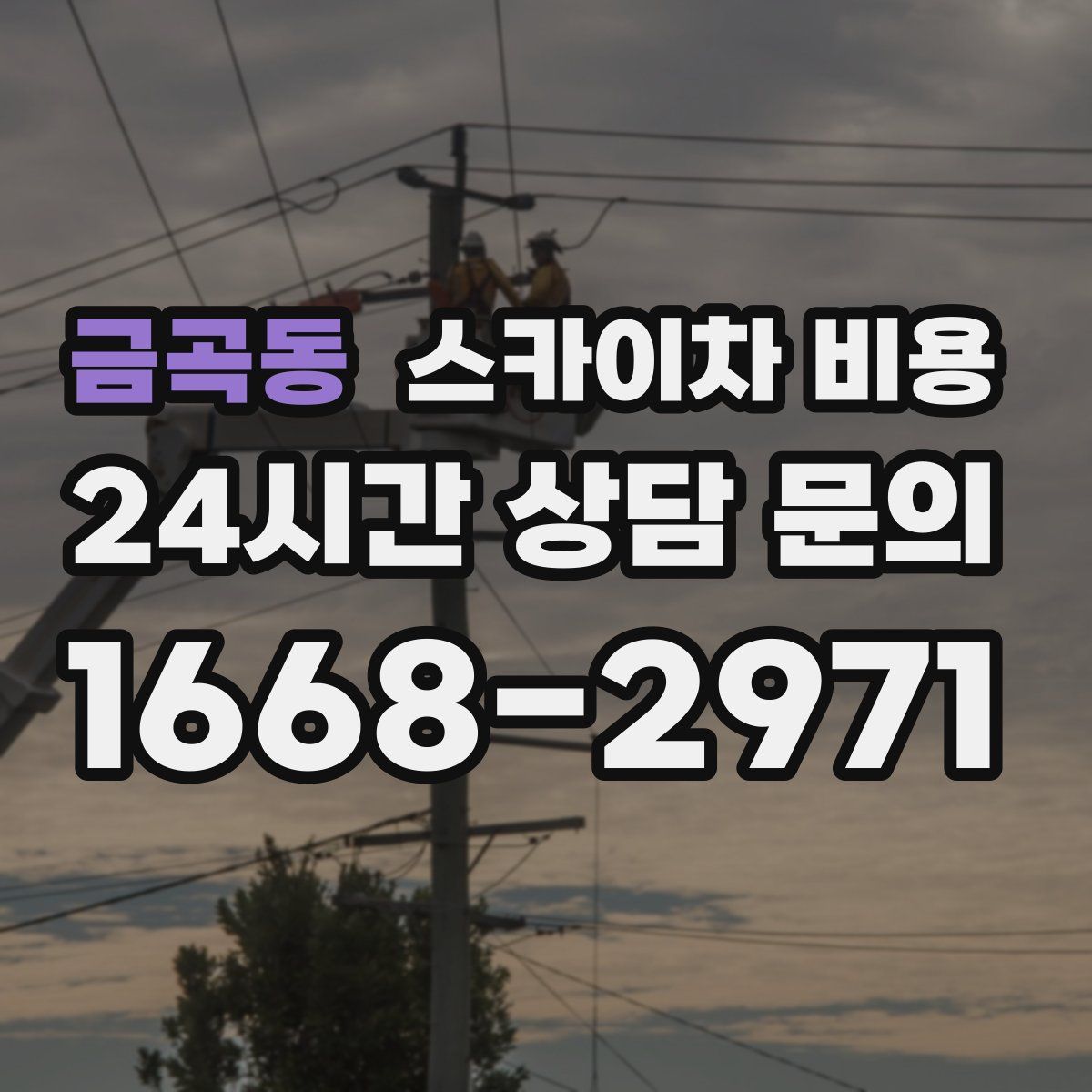 금곡동 스카이차 비용