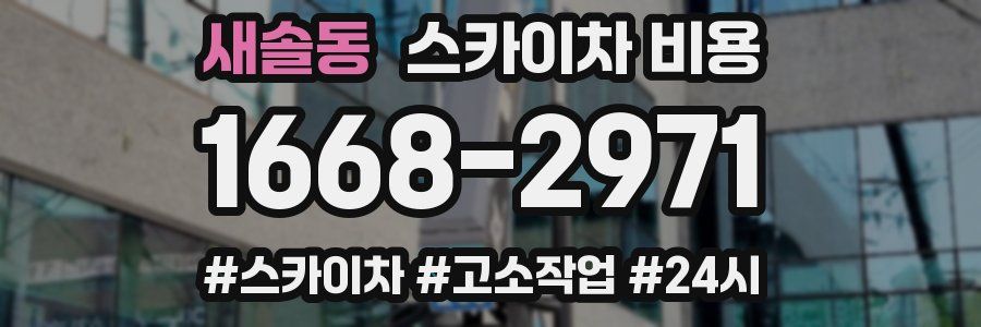 새솔동 스카이차 비용