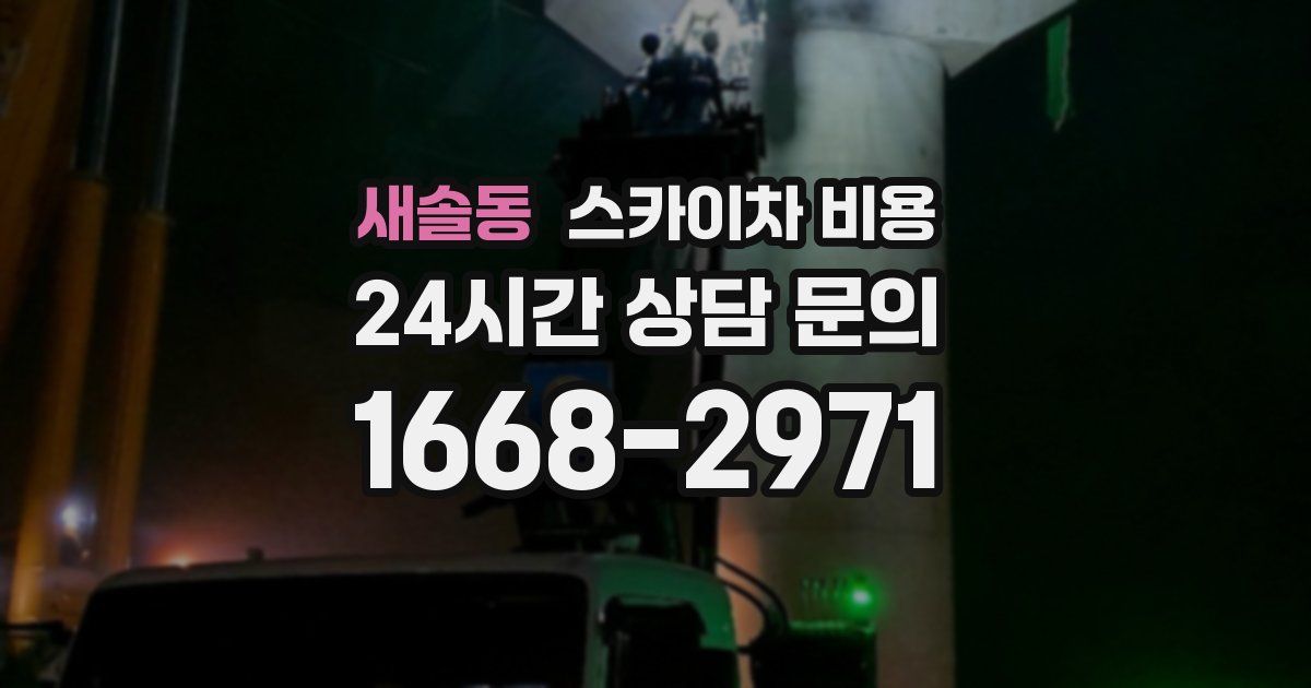 새솔동 스카이차 비용