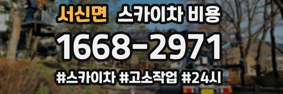서신면 스카이차 비용